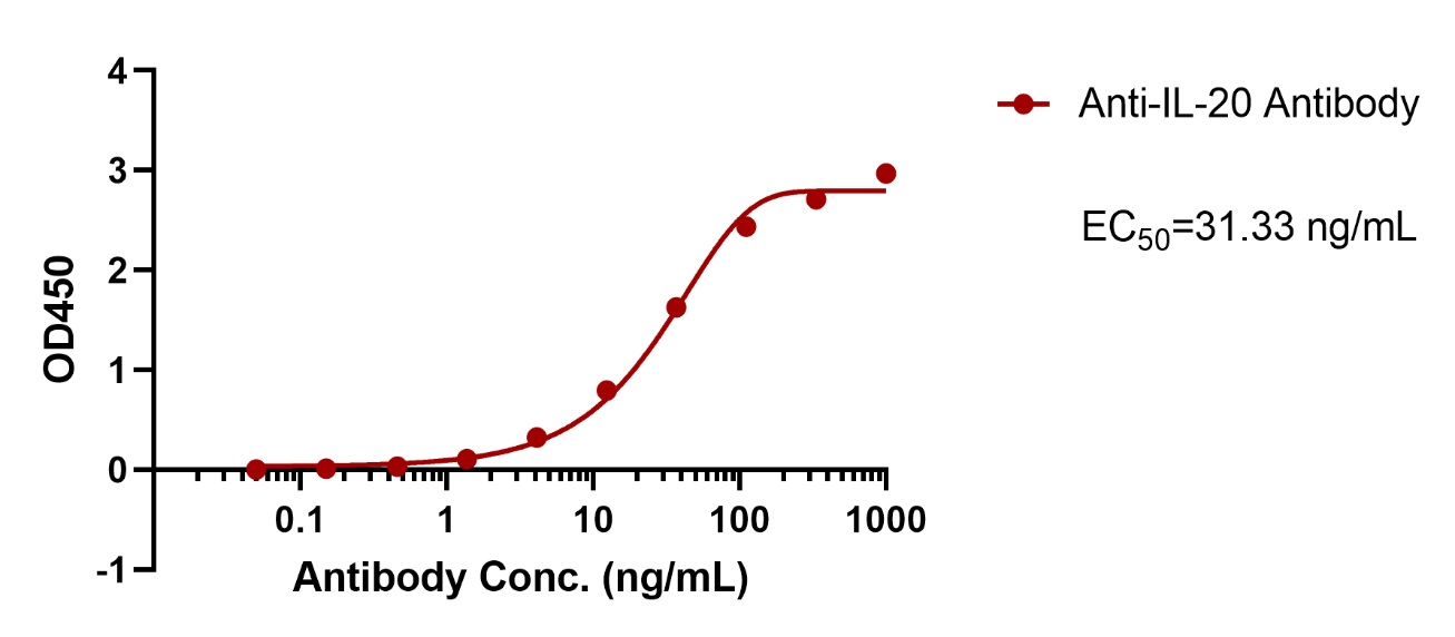 Anti-IL-20 Antibody