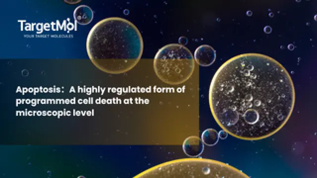 Recommended Reading | Apoptosis：A highly regulated form of programmed cell death at the microscopic level