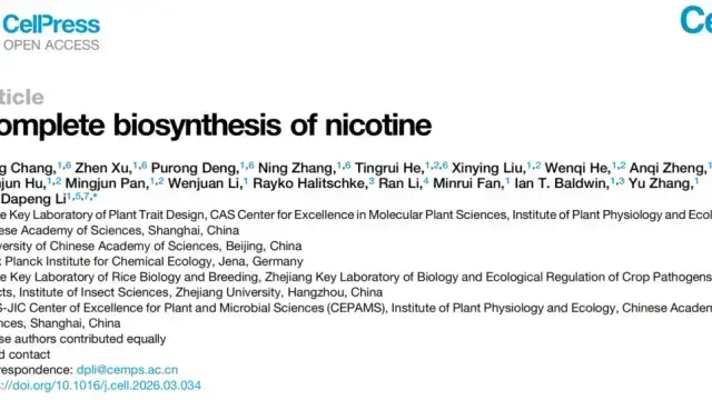 Recommended Reading | Breakthrough in Cell: Decoding the Century-Old Mystery of Nicotine Biosynthesis