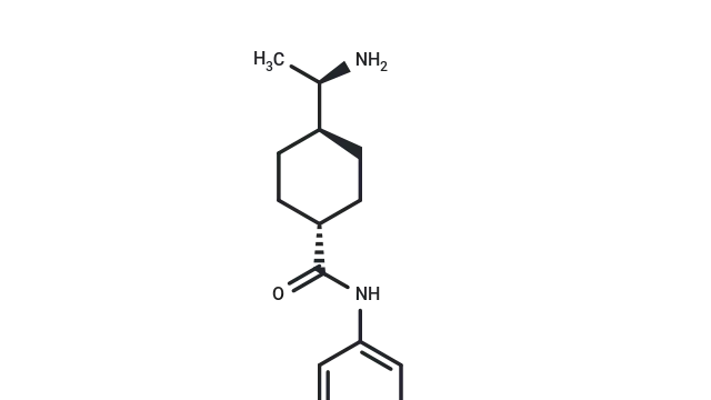 TargetMol—Signaling Pathway—Y-27632 (Cat. No. T1870, CAS. 146986-50-7), Selective ROCK Inhibitor