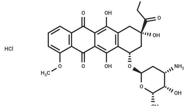 TargetMol—Signaling Pathway—Doxorubicin hydrochloride (Cat. No. T1020, CAS. 25316-40-9), DNA-embedded Cell Killer