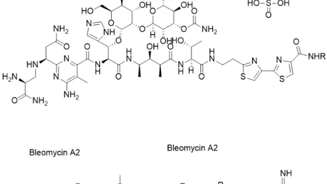 TargetMol—Natural Product—Bleomycin Sulfate (Cat. No. T6116, CAS. 9041-93-4), DNA-cutting scissors