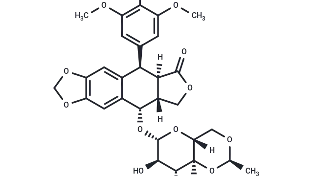 TargetMol—Star Molecule—Etoposide (Cat. No. T0132, CAS 33419-42-0), a Classic Topoisomerase II Inhibitor for Dissecting DNA Damage Responses