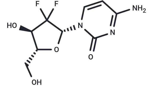 TargetMol Star Molecule—Gemcitabine (Cat. No. T0251, CAS 95058-81-4), A Nucleoside Analog Driving DNA Replication Stress, Autophagy, and Apoptosis