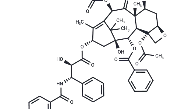 TargetMol Star Molecule—Paclitaxel (Cat. No. T0968, CAS 33069-62-4), Exploring the Crosstalk Between Microtubule Dynamics, Apoptosis, and Autophagy