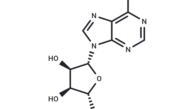 TargetMol Star Molecule—Adenosine (Cat. No. T0853, CAS 58-61-7), Balancing Cell Survival Through Autophagy and Apoptotic Signaling