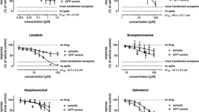 [TargetMol Star Molecule] - Linsitinib: Precisely Blocking the IGF-1R Signaling Axis to Reveal a New Target for Tumor Proliferation and Viral Fusion