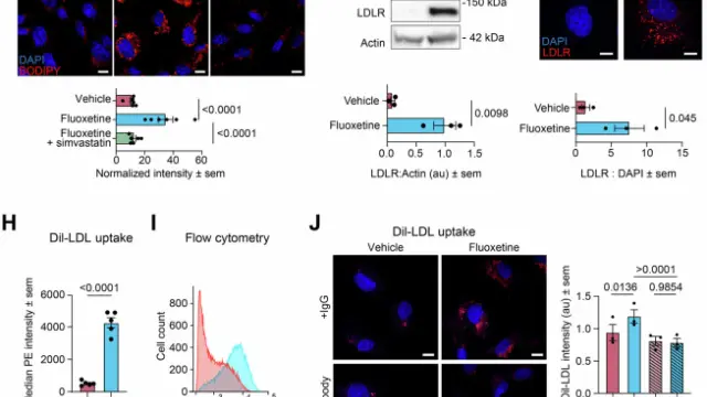 [TargetMol Star Molecule] - Fluoxetine hydrochloride: A precise tool for modulating serotonin transport and receptor signaling