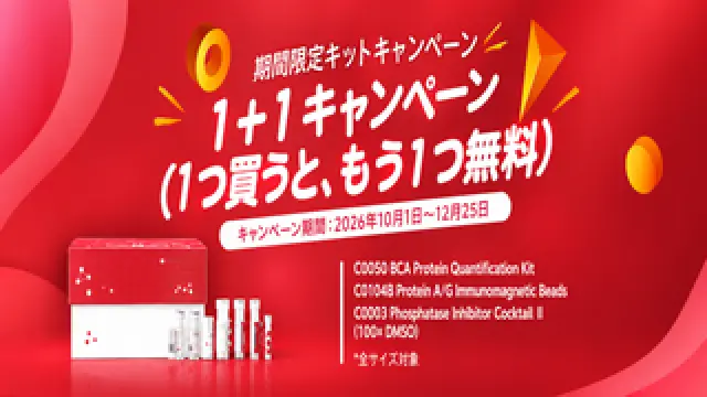 3種類のキット、1＋1実施中！