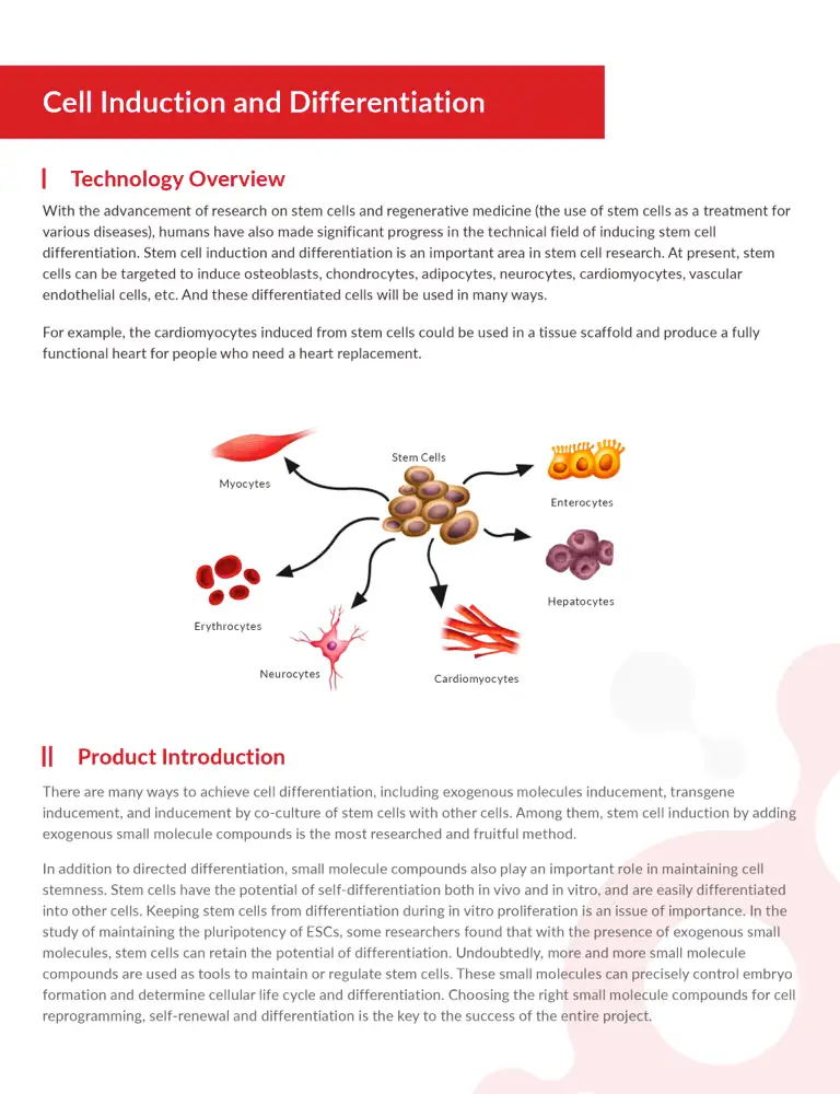 TargetMol | Compound Library