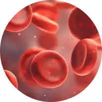 TargetMol | Cardiovascular disease