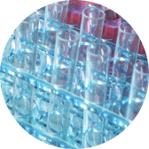 TargetMol | Other Standards