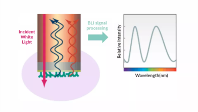 TargetMol | Molecular Docking Workfolw