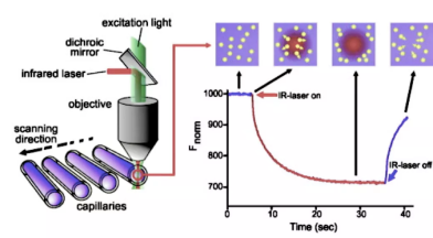 TargetMol | Molecular Docking Workfolw