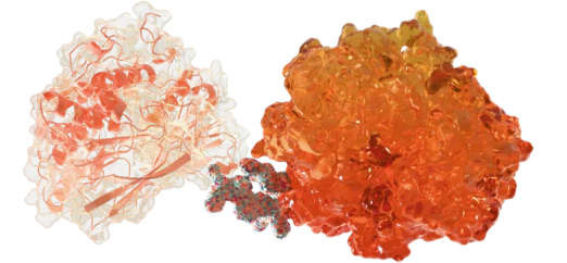 TargetMol | HIT CANNDIDATES Faster and Lighter Drug Discovery