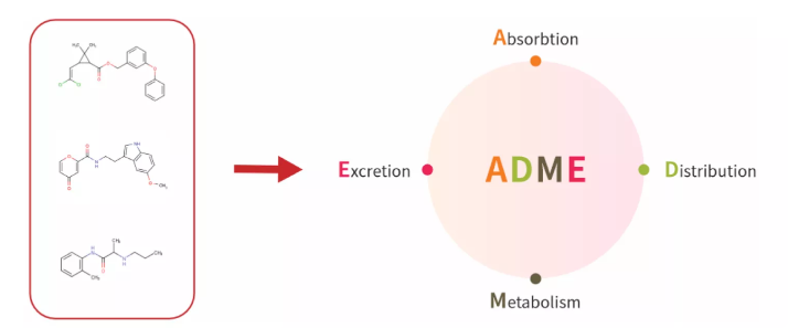 TargetMol | Molecular Docking Workfolw