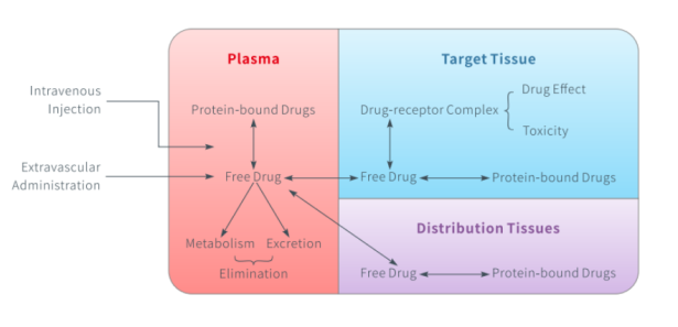 TargetMol | Molecular Docking Workfolw
